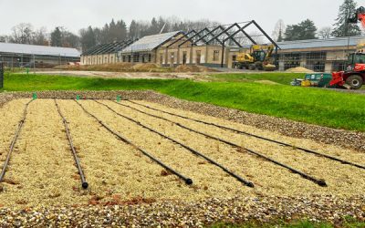 Megaprojekt Reitsportzentrum