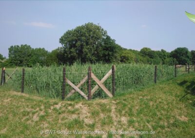 Pflanzenkläranlage mit Forstzaun-Einfassung in offener Landschaft