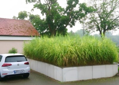 Pflanzenkläranlage mit weißen L-Steinen an der Hofeinfahrt