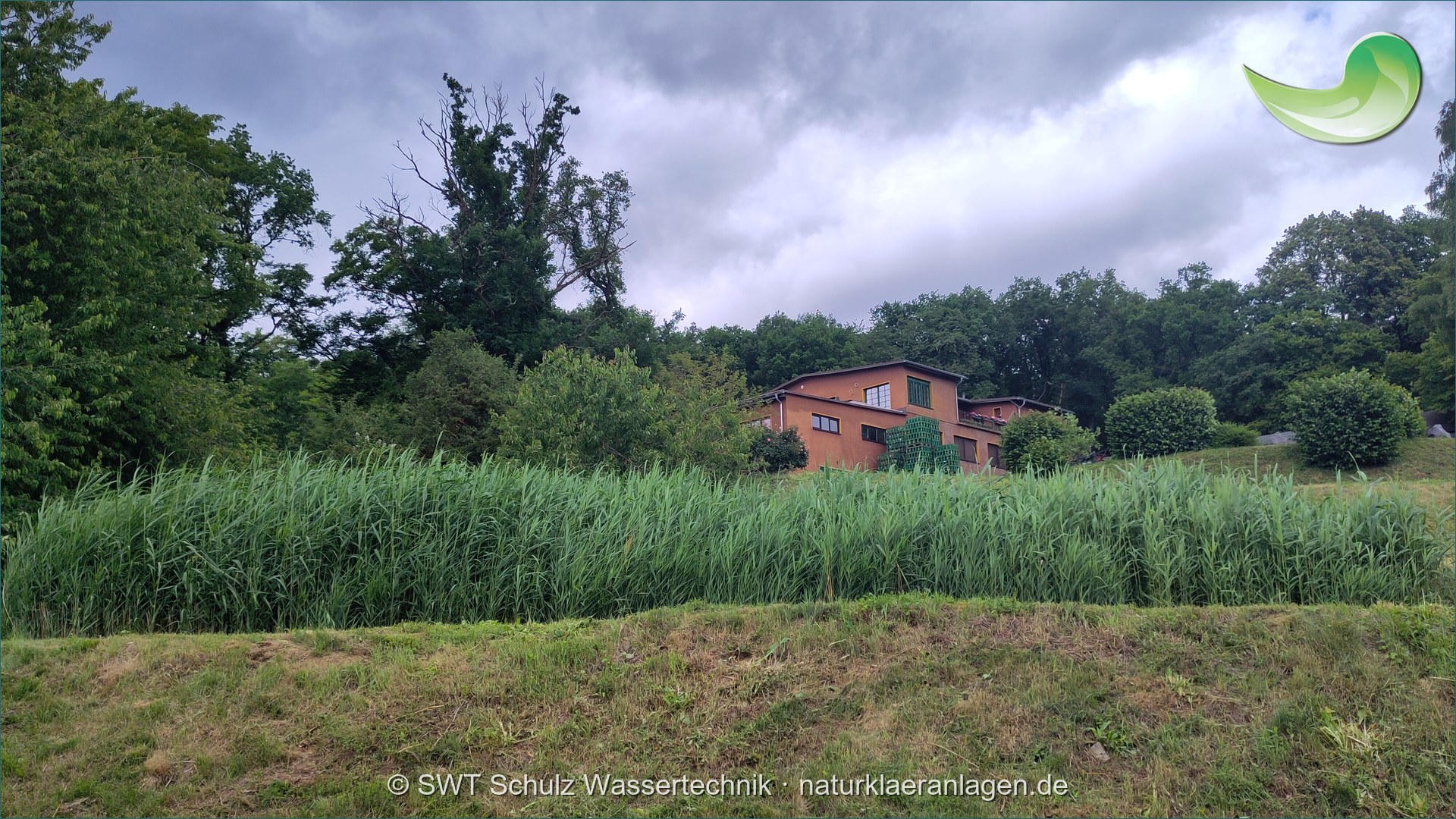 swt_brombeer_leutesdorf_xxxx_03_querformat