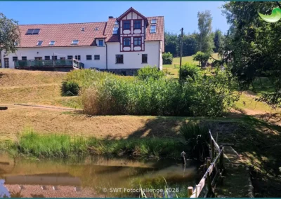 Bepflanzter Bodenfilter einer Pflanzenkläranlage in Friesenhagen, Sommer 2026