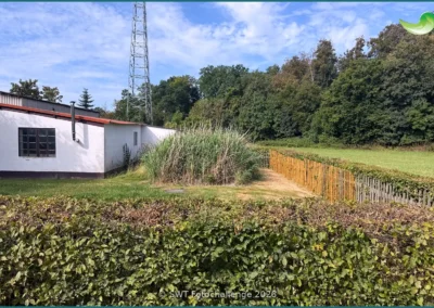 Bepflanzter Bodenfilter einer Pflanzenkläranlage in Malsfeld, Sommer 2026