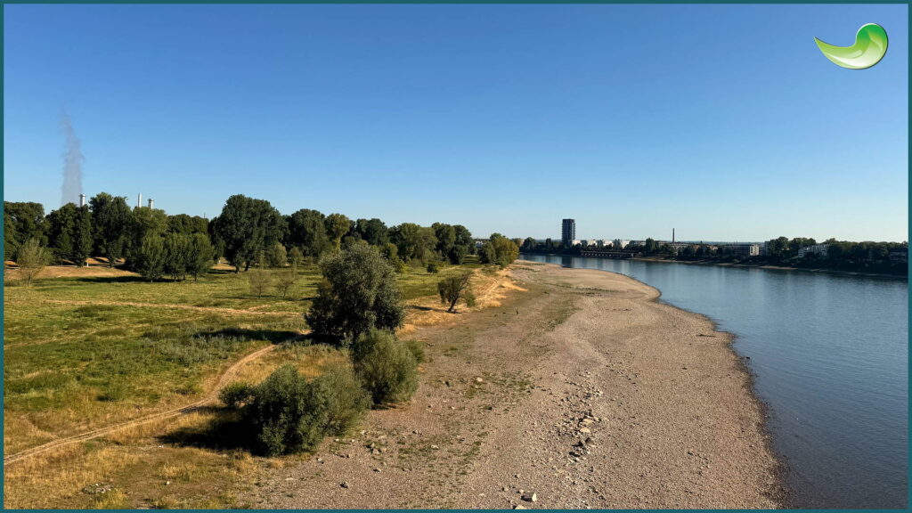Rhein-Niedrigwasser bei Köln, August 2026 Niedrigwasser im Rhein bei Köln im August 2026 – trockengefallenes Ufer, Ausgangspunkt der Sandknappheit auf den Baustellen