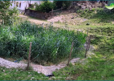 Bepflanzter Bodenfilter einer Pflanzenkläranlage in Elzach, Sommer 2026