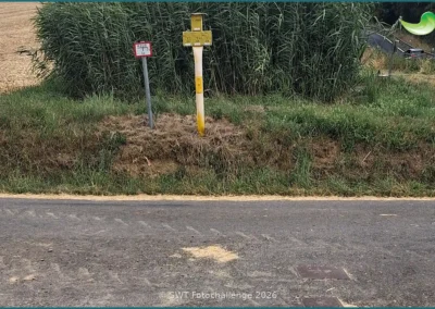 Bepflanzter Bodenfilter einer Pflanzenkläranlage in Waldems, Sommer 2026