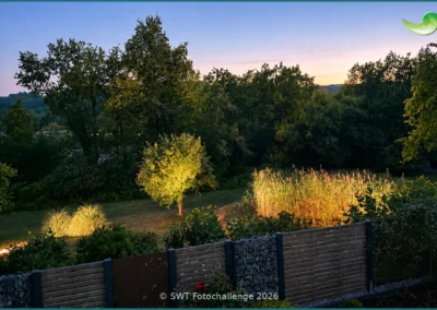 Bepflanzter Bodenfilter einer Pflanzenkläranlage in Zweibrücken, Sommer 2026
