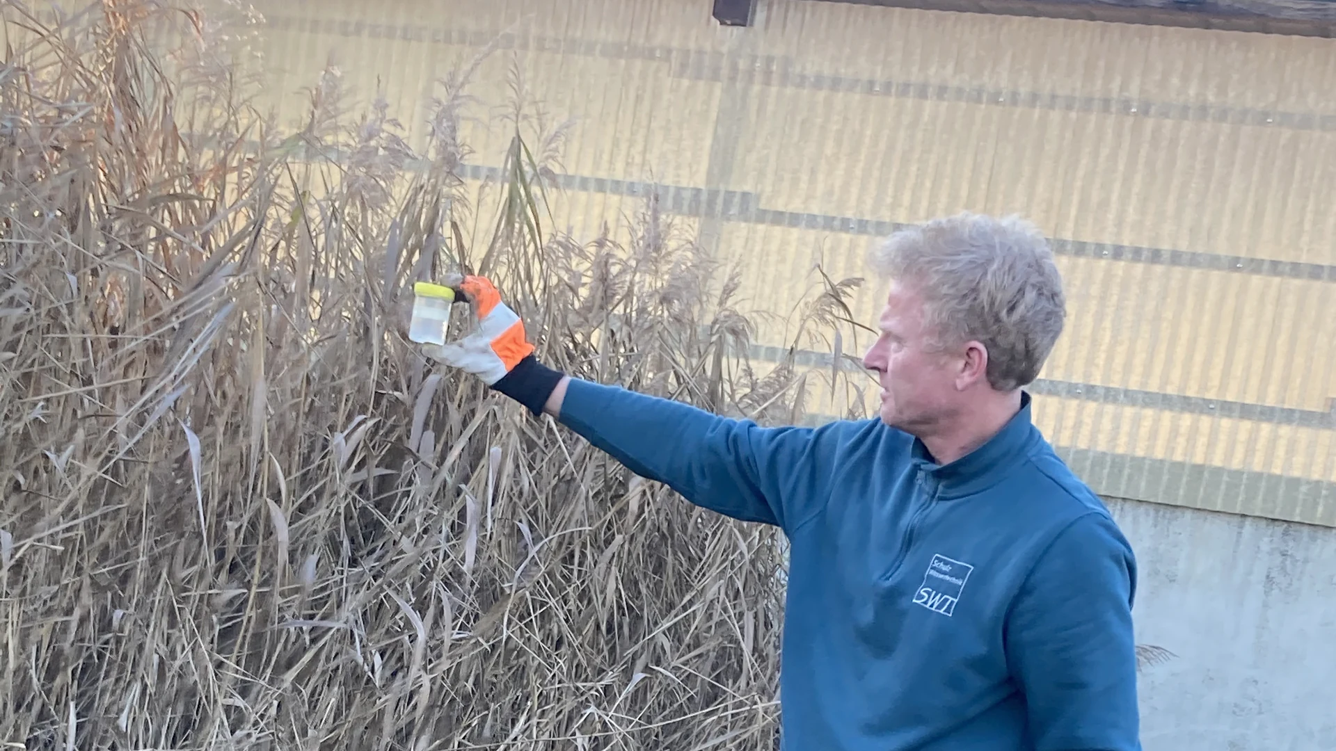 Klares Wasser im Ablauf Christian Schulz hält ein Probenglas mit klarem Ablaufwasser gegen das Licht – vor dem Schilf einer Pflanzenkläranlage
