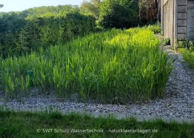 Pflanzenkläranlage mit Kiessaum als Beeteinfassung