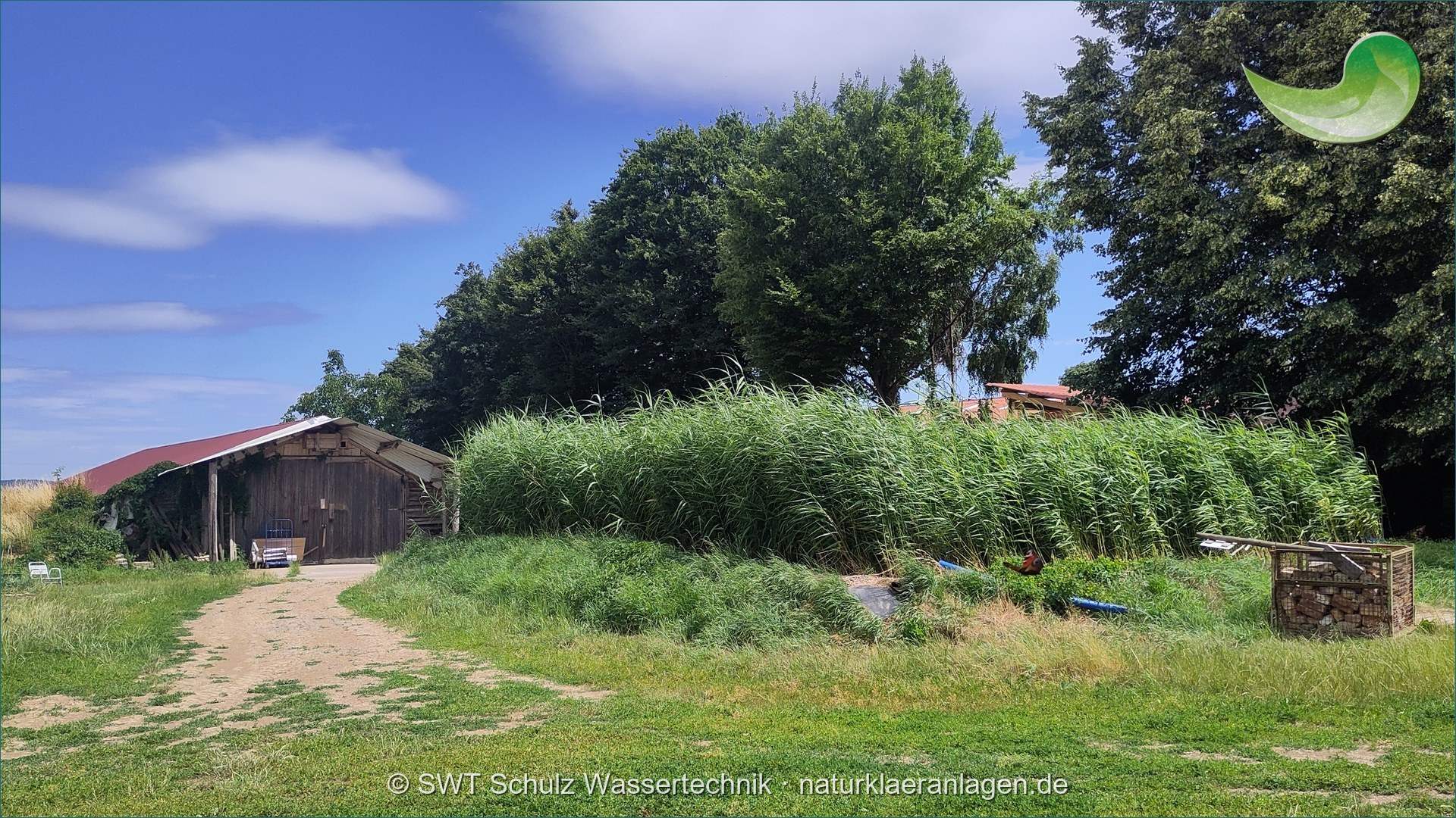 Pflanzenkläranlage am Hof in Reichelsheim Hohes Schilfbeet einer Pflanzenkläranlage neben der Scheune eines landwirtschaftlichen Betriebs in Reichelsheim